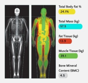 Body composition scan